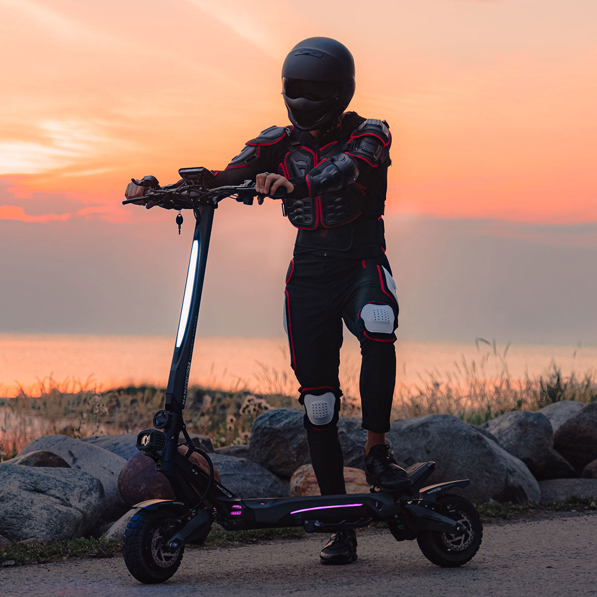 ELECTRIC SCOOTERS